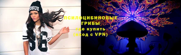 бутират Каменка