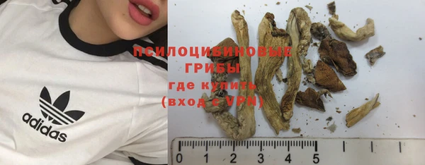 бутират Каменка