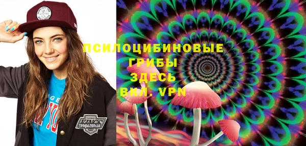 прущая мука Каменногорск