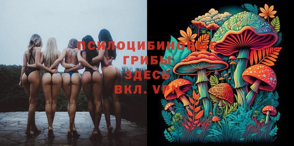 бутират Каменка