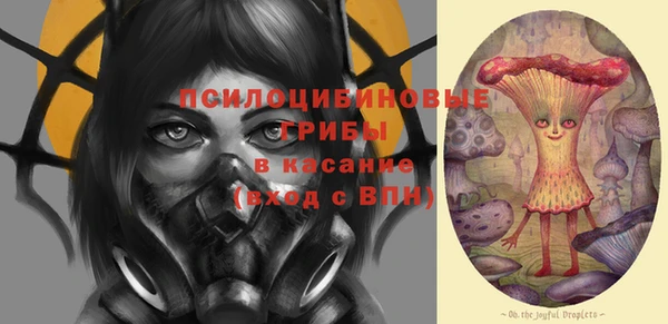 бутират Каменка
